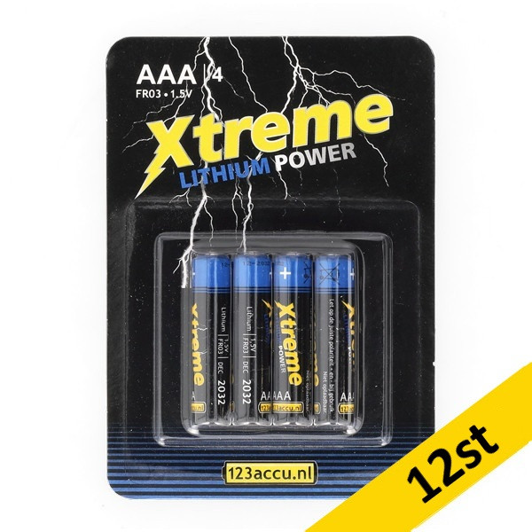 123ink Xtreme Power FR03 AAA batteri 12st ADR00307 - 1