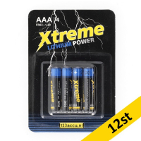 123ink Xtreme Power FR03 AAA batteri 12st
