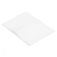 AEG-Electrolux / Nilfisk 1000567 dammsugarfilter (varumärket 123ink)  SEL01007