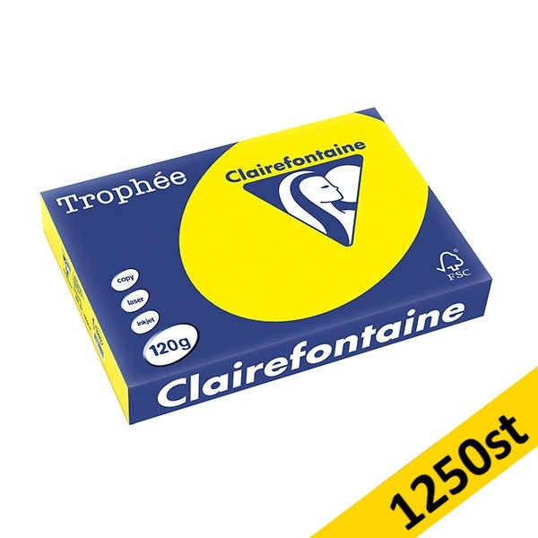 ​​​​​​​​​​​​​​​​​​​​​​​​​​​​120g A4 papper | solgul | Clairefontaine 1292PC | 1,250 ark [10kg] 250477 - 1