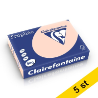 Clairefontaine ​​​​​​​​​​​​​​​​​​​​​​​​​​​​80g A4 papper | laxrosa | Clairefontaine 1769PC | 2500 ark [13kg]  250476