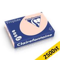 ​​​​​​​​​​​​​​​​​​​​​​​​​​​​80g A4 papper | laxrosa | Clairefontaine 1769PC | 2,500 ark [13kg] 250476