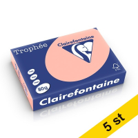 Clairefontaine ​​​​​​​​​​​​​​​​​​​​​​​​​​​​80g A4 papper | persika | Clairefontaine 1970PC | 2500 ark [13kg]  250475