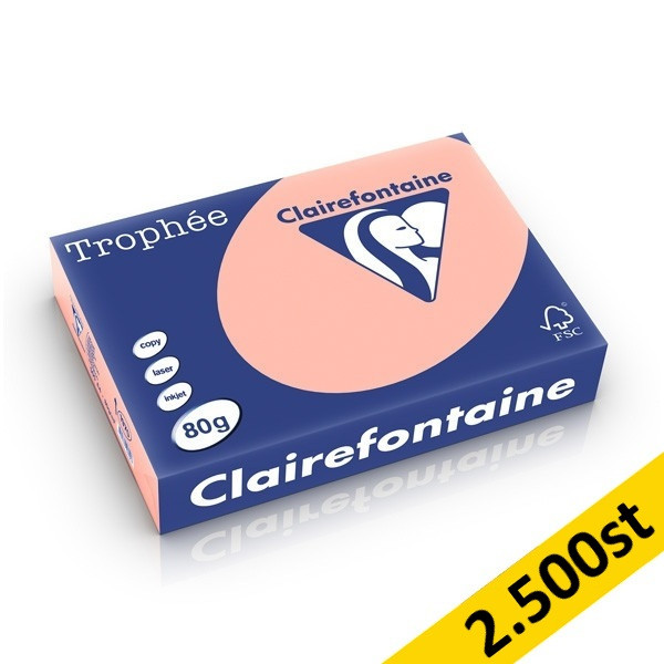 ​​​​​​​​​​​​​​​​​​​​​​​​​​​​80g A4 papper | persika | Clairefontaine 1970PC | 2,500 ark [13kg] 250475 - 1