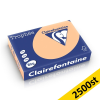 ​​​​​​​​​​​​​​​​​​​​​80g A4 papper | aprikos | Clairefontaine 1995PC | 2,500 ark [13kg] 250474