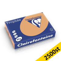 ​​​​​​​​​​​​​​80g A4 papper | karamell | Clairefontaine 1879PC | 2,500 ark [13kg] 250473