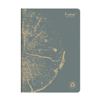 Clairefontaine ​​​​​​​​​​​​​​Anteckningsbok A4 linjerat | grå | 48 ark | Clairefontaine 684664C 684664C 250456