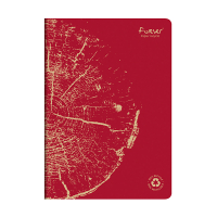 Clairefontaine ​​​​​​​​​​​​​​Anteckningsbok A4 linjerat | röd | 48 ark | Clairefontaine 684663C 684663C 250455