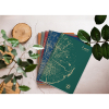 Clairefontaine ​​​​​​​​​​​​​​Anteckningsbok A4 linjerat | röd | 48 ark | Clairefontaine 684663C 684663C 250455 - 2