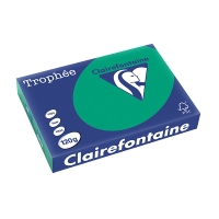 Clairefontaine ​​​​​​​120g A4 papper | furugrön | 250 ark | Clairefontaine 1224C 250086