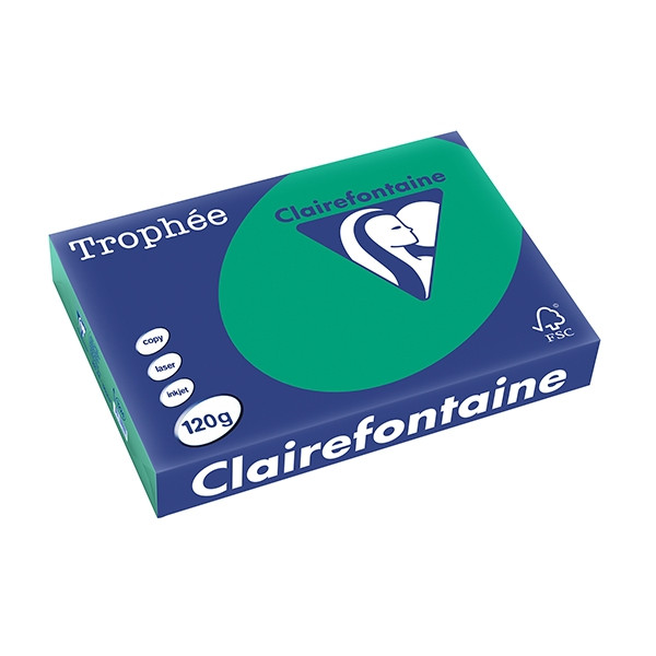 Clairefontaine ​​​​​​​120g A4 papper | furugrön | Clairefontaine 1224PC | 250 ark 1224C 250086 - 1