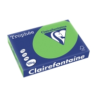 Clairefontaine ​​​​​​​120g A4 papper | gräsgrön | 250 ark | Clairefontaine 1293C 250085
