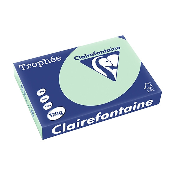 Clairefontaine ​​​​​​​120g A4 papper | grön | Clairefontaine 1216PC | 250 ark 1216C 250078 - 1