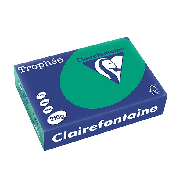 Clairefontaine ​​​​​​​210g A4 papper | furugrön | 250 ark | Clairefontaine 2213C 250105 - 1