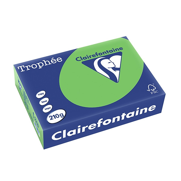 Clairefontaine ​​​​​​​210g A4 papper | gräsgrön | 250 ark | Clairefontaine 2208C 250103 - 1