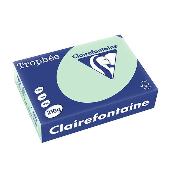 Clairefontaine ​​​​​​​210g A4 papper | grön | 250 ark | Clairefontaine 2223C 250095 - 1