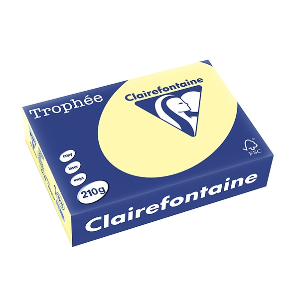 Clairefontaine ​​​​​​​210g A4 papper | gul | 250 ark | Clairefontaine 2220C 250091 - 1