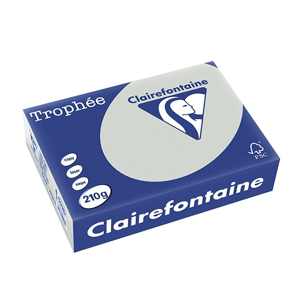 Clairefontaine ​​​​​​​210g A4 papper | ljusgrå | 250 ark | Clairefontaine 2226C 250088 - 1