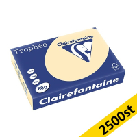 ​​​​​​​80g A4 papper | ädelsten | Clairefontaine 1787PC | 2,500 ark [13kg] 250472