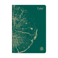 Clairefontaine ​​​​​​​Anteckningsbok A4 linjerat | grangrön | 48 ark | Clairefontaine 684661C 684661C 250453