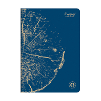 Clairefontaine ​​​​​​​Anteckningsbok A4 linjerat | koboltblå | 48 ark | Clairefontaine 684662C 684662C 250454