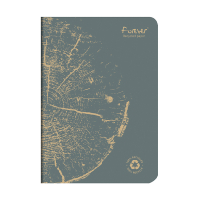 Clairefontaine ​​​​​​​Anteckningsbok A5 linjerat | grå | 48 ark | Clairefontaine 684864C 684864C 250452