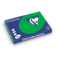 Clairefontaine 120g A3 papper | biljardgrön | Clairefontaine 1272PC | 250 ark 1272C 250230
