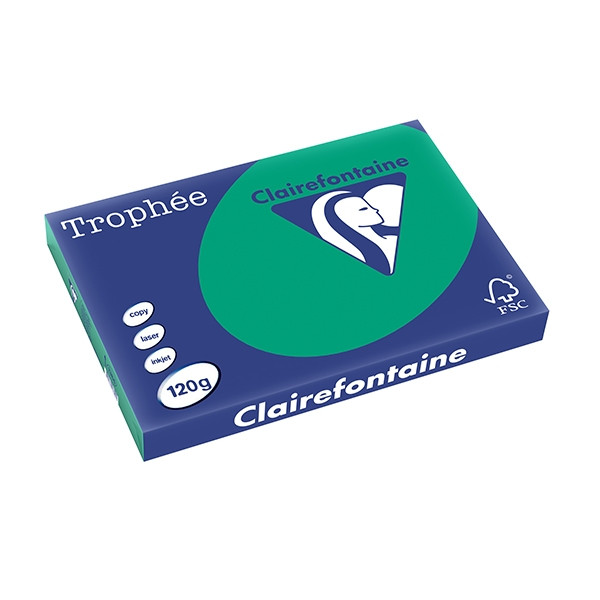 Clairefontaine 120g A3 papper | furugrön | Clairefontaine | 250 ark 1384C 250142 - 1