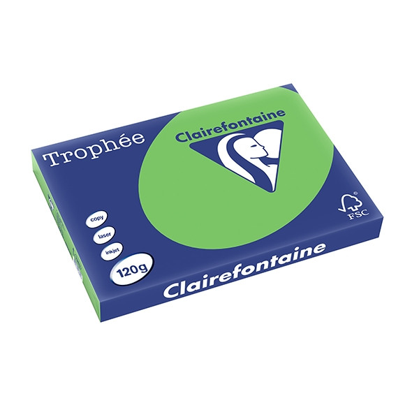Clairefontaine 120g A3 papper | gräsgrön | Clairefontaine | 250 ark 1383C 250141 - 1
