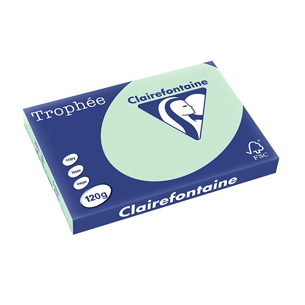 Clairefontaine 120g A3 papper | grön | 250 ark | Clairefontaine 1376C 250133 - 1