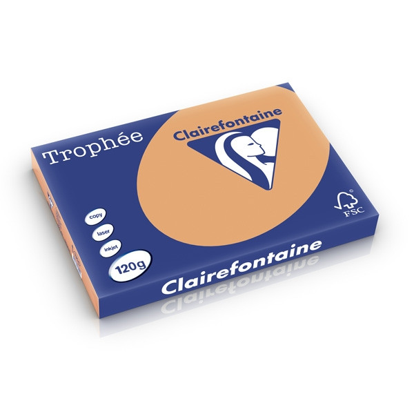 Clairefontaine 120g A3 papper | karamell | 250 ark | Clairefontaine 1304C 250214 - 1
