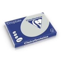 Clairefontaine 120g A3 papper | ljusgrå | 250 ark | Clairefontaine 1274C 250213