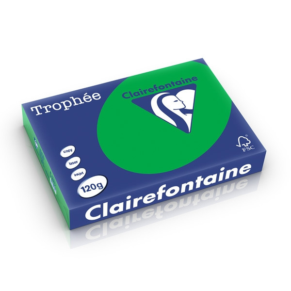 Clairefontaine 120g A4 papper | biljardgrön | Clairefontaine 1271PC | 250 ark 1271C 250212 - 1