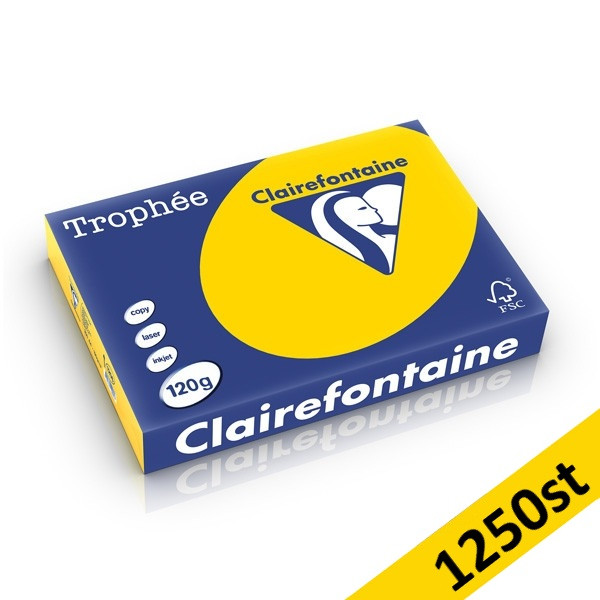 120g A4 papper | gyllengul | Clairefontaine 1206PC | 1,250 ark [10kg] 250419 - 1