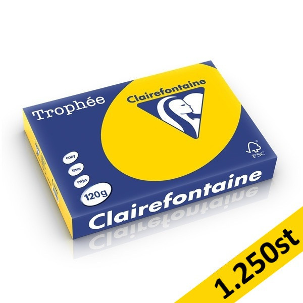 120g A4 papper | gyllengul | Clairefontaine 1206PC | 1,250 ark [10kg] 250419 - 1