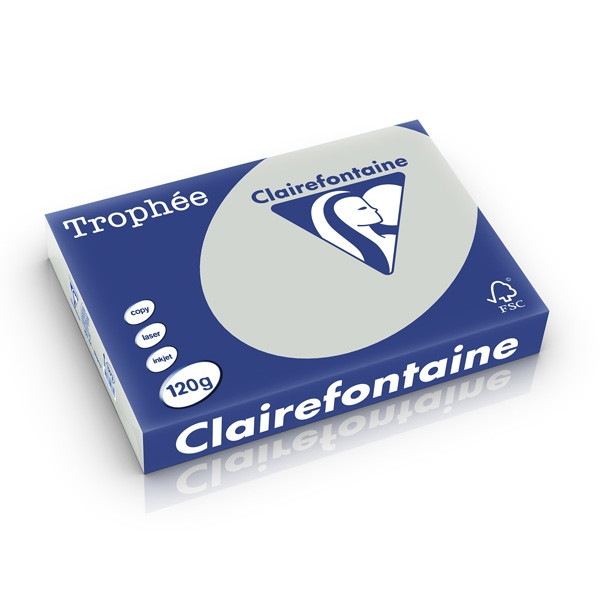 Clairefontaine 120g A4 papper | ljusgrå | 250 ark | Clairefontaine 1273C 250195 - 1