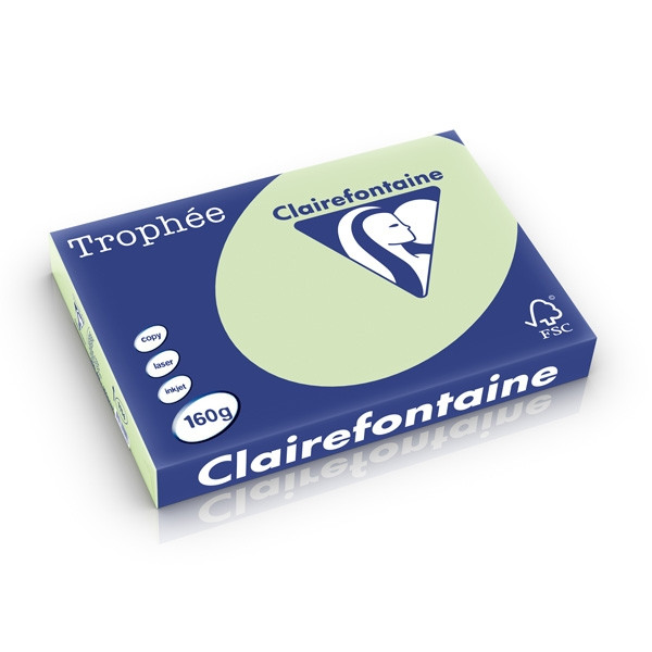 Clairefontaine 160g A3 papper | mintgrön | 250 ark | Clairefontaine 1114C 250280 - 1