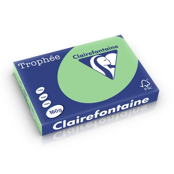 Clairefontaine 160g A3 papper | naturgrön | 250 ark | Clairefontaine 1119C 250279 - 1