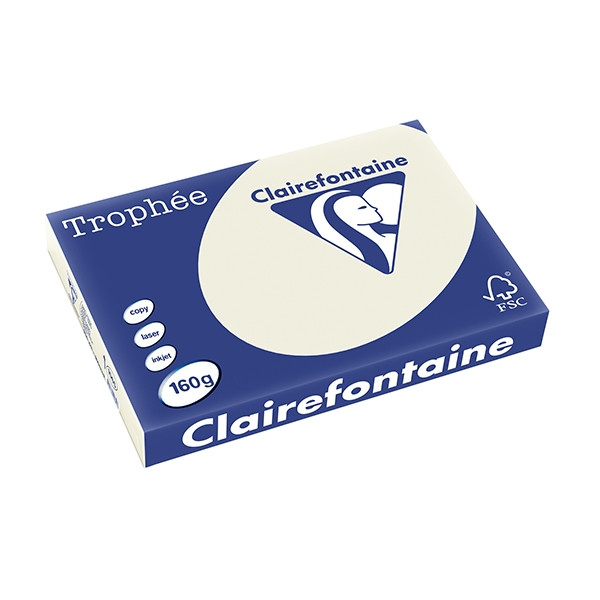 Clairefontaine 160g A3 papper | pärlgrå | 250 ark | Clairefontaine 1065C 250143 - 1