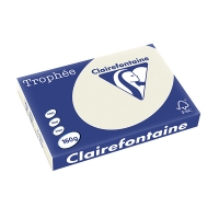 Clairefontaine 160g A3 papper | pärlgrå | 250 ark | Clairefontaine 1065C 250143