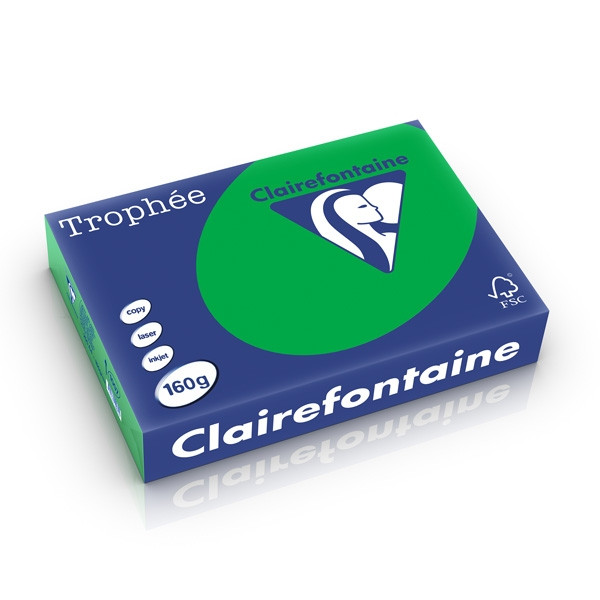 Clairefontaine 160g A4 papper | biljardgrön | Clairefontaine 1007PC | 250 ark 1007C 250265 - 1