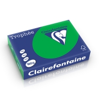 Clairefontaine 160g A4 papper | biljardgrön | Clairefontaine 1007PC | 250 ark 1007C 250265