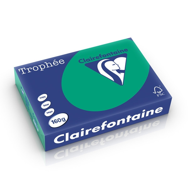 Clairefontaine 160g A4 papper | furugrön | Clairefontaine | 250 ark 1019C 250266 - 1