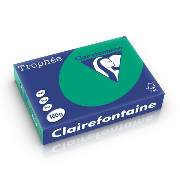 Clairefontaine 160g A4 papper | furugrön | Clairefontaine 1019PC | 250 ark 1019PC 250266 - 1