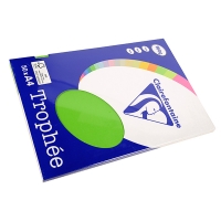 Clairefontaine 160g A4 papper | gräsgrön | 50 ark | Clairefontaine 4165C 250029