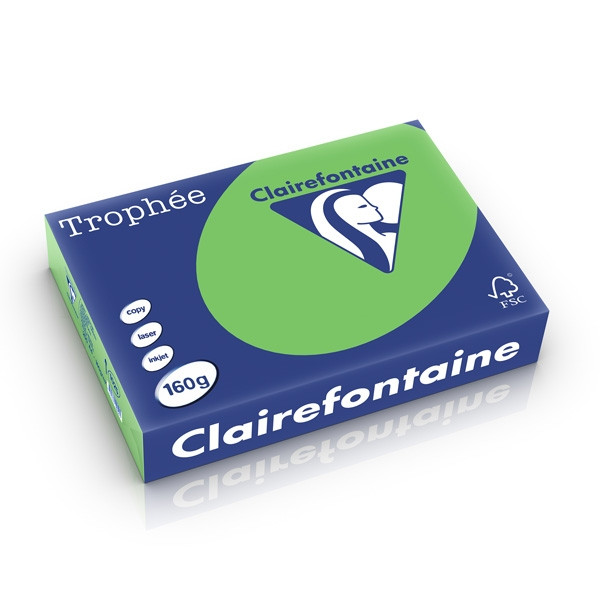 Clairefontaine 160g A4 papper | gräsgrön | Clairefontaine | 250 ark 1025C 250264 - 1