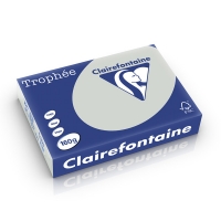 Clairefontaine 160g A4 papper | ljusgrå | 250 ark | Clairefontaine 1009C 250232