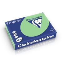 Clairefontaine 160g A4 papper | naturgrön | 250 ark | Clairefontaine 1120C 250250
