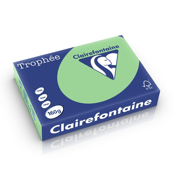 Clairefontaine 160g A4 papper | naturgrön | Clairefontaine | 250 ark 1120C 250250 - 1
