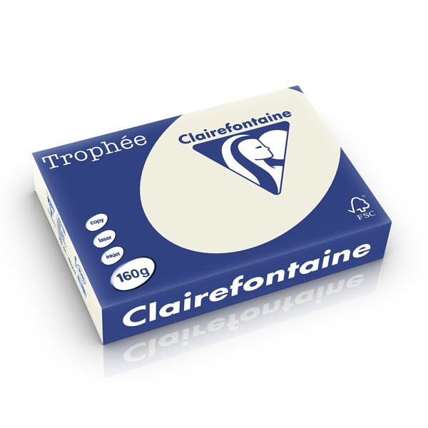 Clairefontaine 160g A4 papper | pärlgrå | 250 ark | Clairefontaine 1041C 250231 - 1